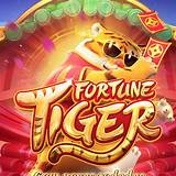 tigrinho bet american roulette
